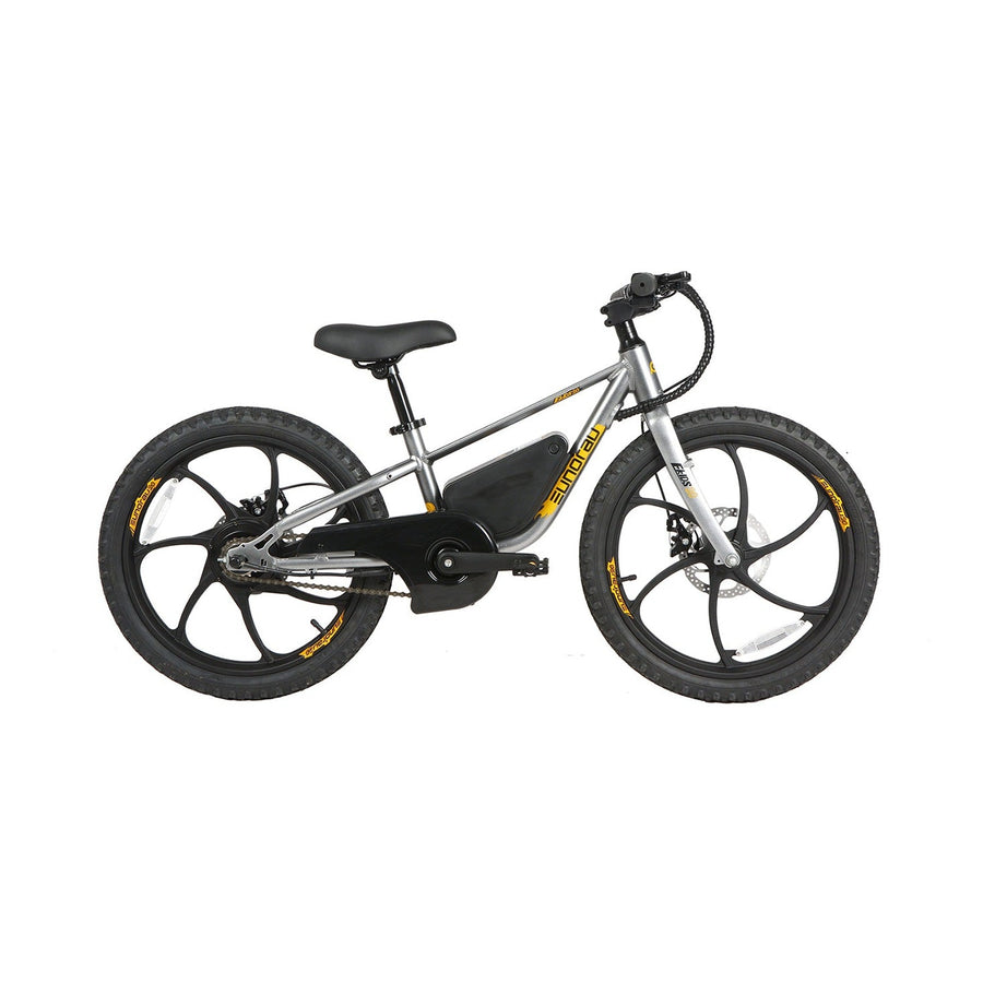 Eunorau EKIDS-20 1.0 Electric Bike, Max Speed 15.5 MPH