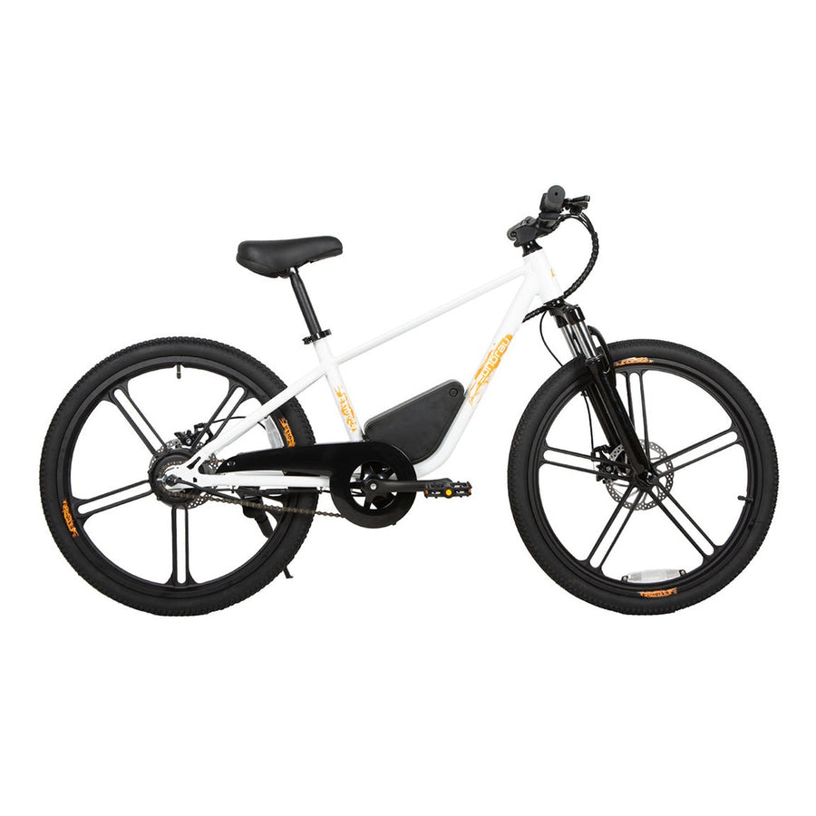 Eunorau EKIDS-24 1.0 250W Kids Electric Bike, 15.5 MPH