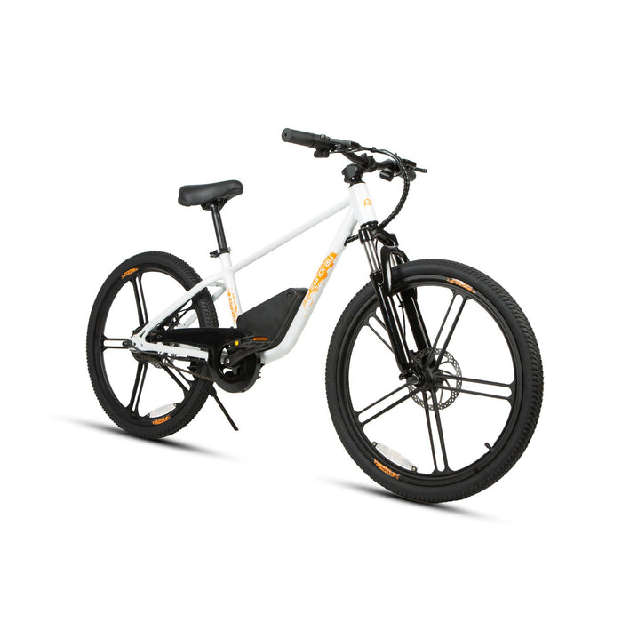 Eunorau EKIDS-24 24V 250W Kids Electric Bike, 15.5 MPH