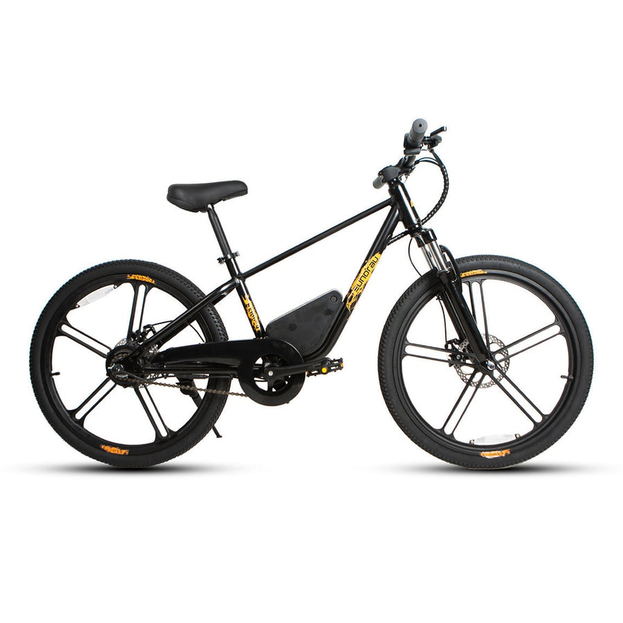 Eunorau EKIDS-24 1.0 250W Kids Electric Bike, 15.5 MPH