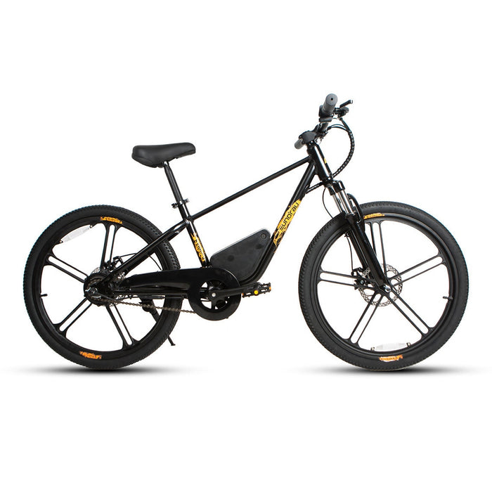 Eunorau EKIDS-24 24V 250W Kids Electric Bike, 15.5 MPH