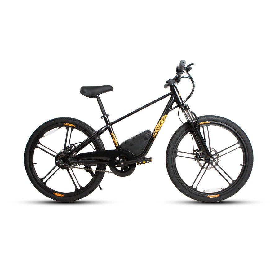 24 inch electric bike