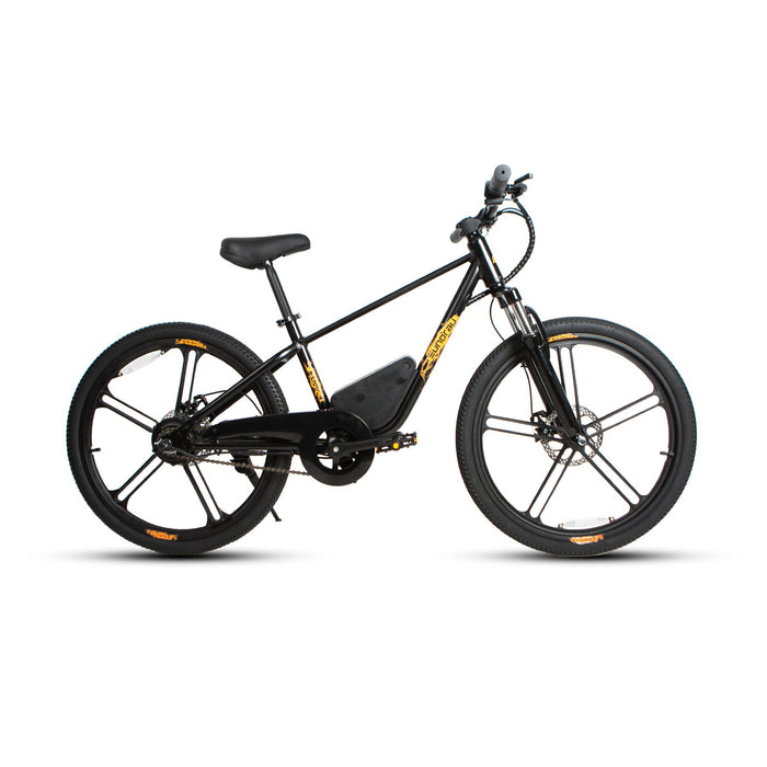 24 inch electric bike
