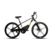 24 inch electric bike