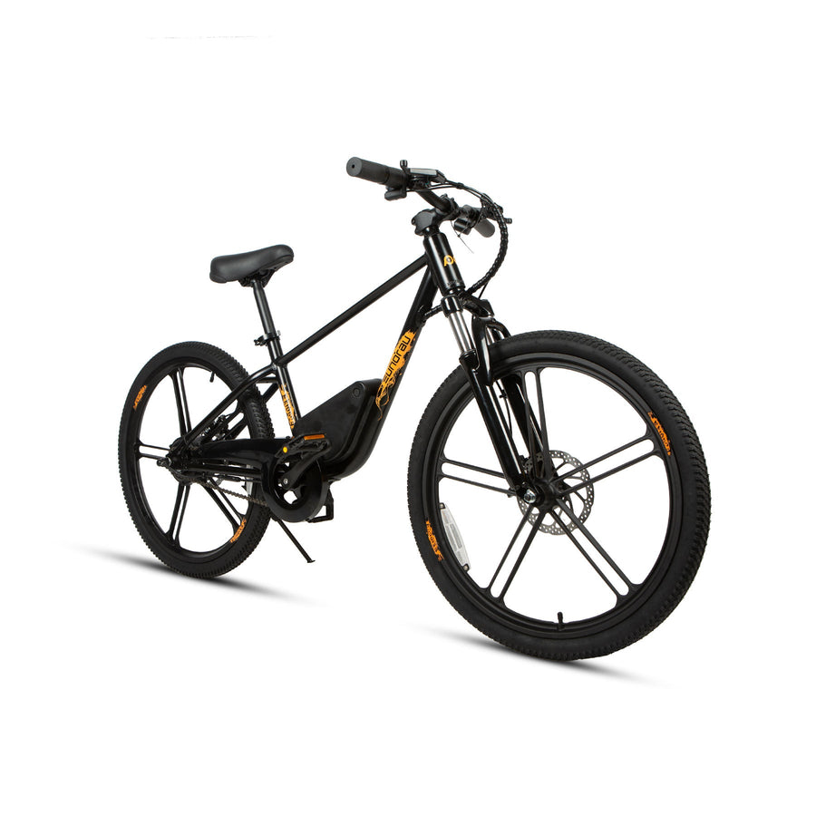Eunorau EKIDS-24 1.0 250W Kids Electric Bike, 15.5 MPH