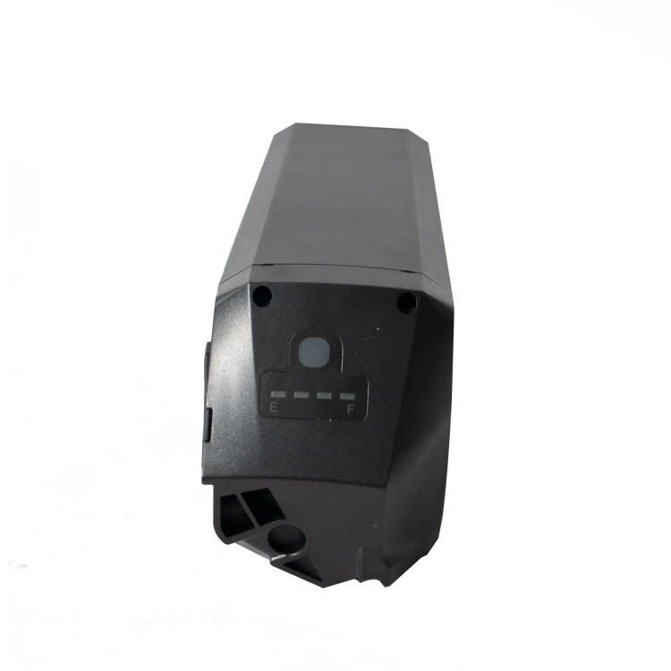 Eunorau 48v 20AH Cargo Bike Battery, Compatible with Max/G20/G30