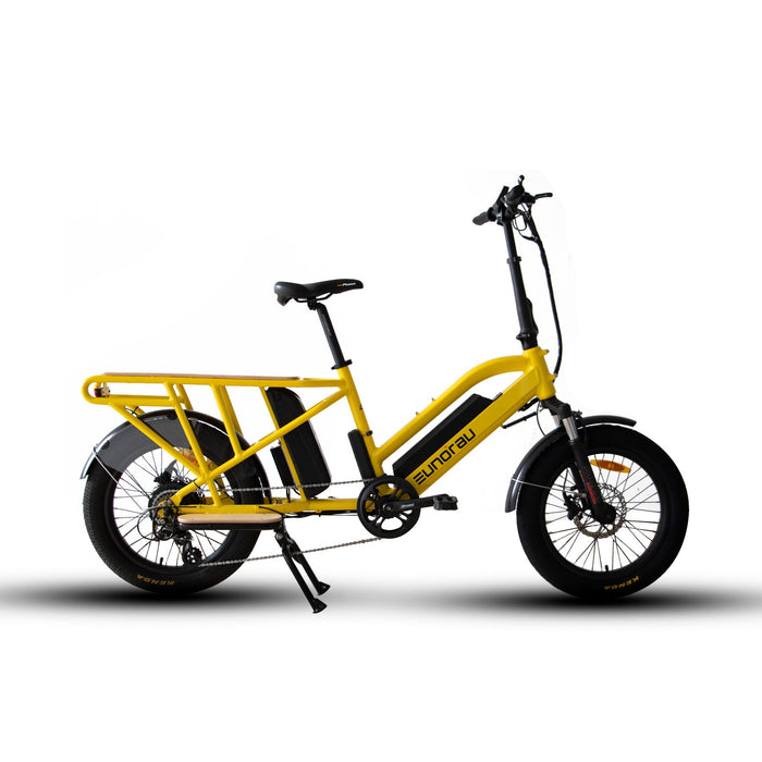 Eunorau G30-CARGO 500W Electric Bike, Max Speed 20 MPH
