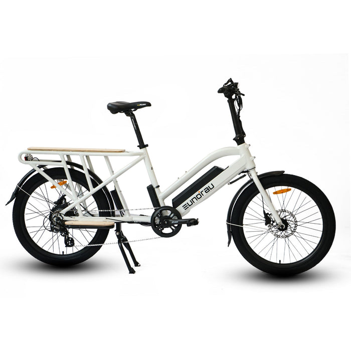 Eunorau MAX-CARGO 750W Electric Bike, Max Speed 28 MPH