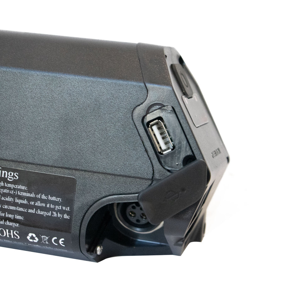 Eunorau 48v 20AH Cargo Bike Battery, Compatible with Max/G20/G30