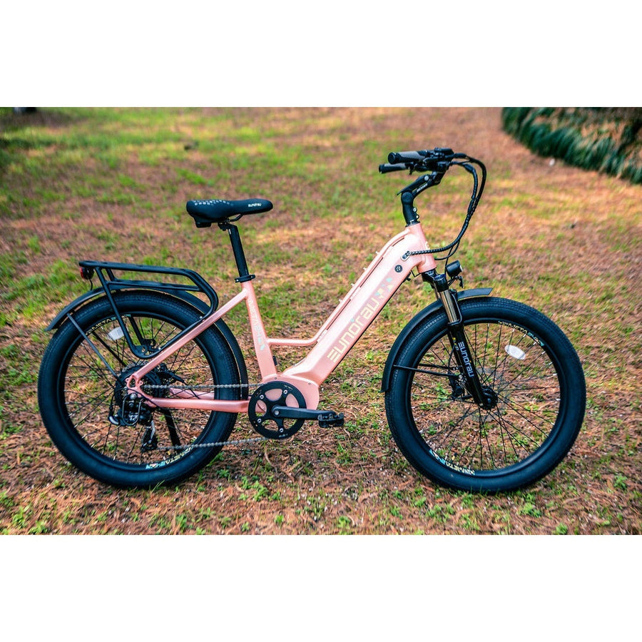 Eunorau META24 1.0 500W Electric Bike, Max Speed 20 MPH