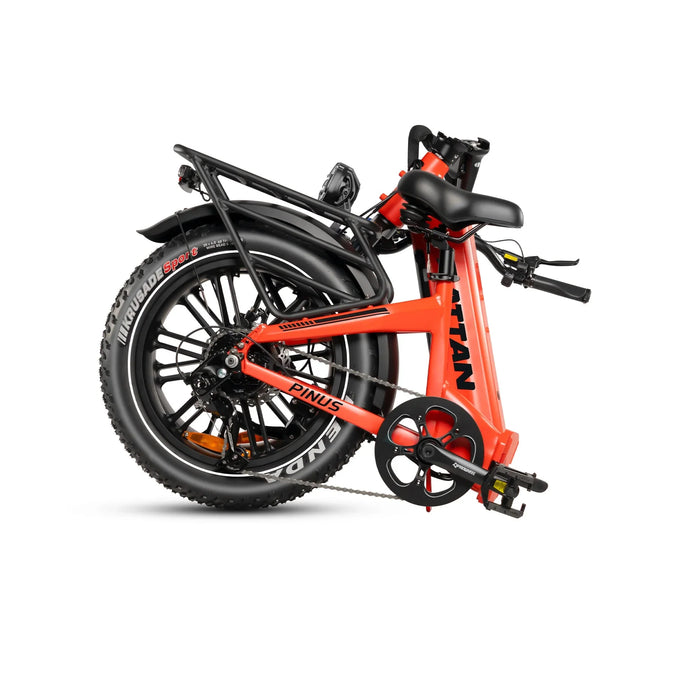 Rattan Pinus Fat Tire Electric Bike — 750W Motor, Torque Sensor, 48V 20Ah Samsung Battery