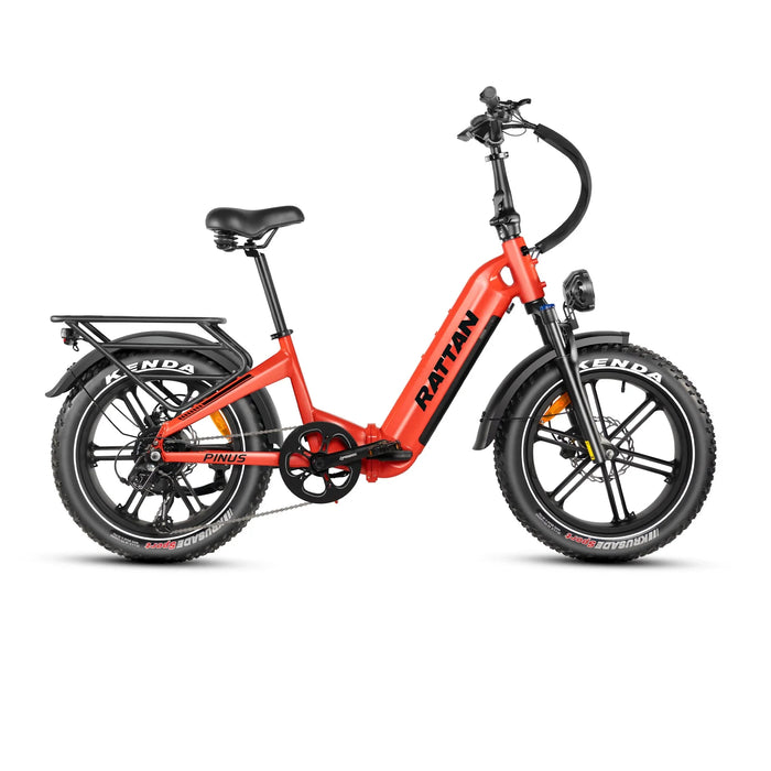 Rattan Pinus Fat Tire Electric Bike — 750W Motor, Torque Sensor, 48V 20Ah Samsung Battery