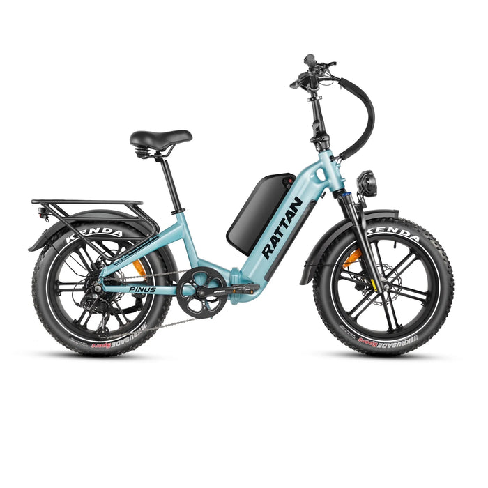 Rattan Pinus Fat Tire Electric Bike — 750W Motor, Torque Sensor, 48V 20Ah Samsung Battery