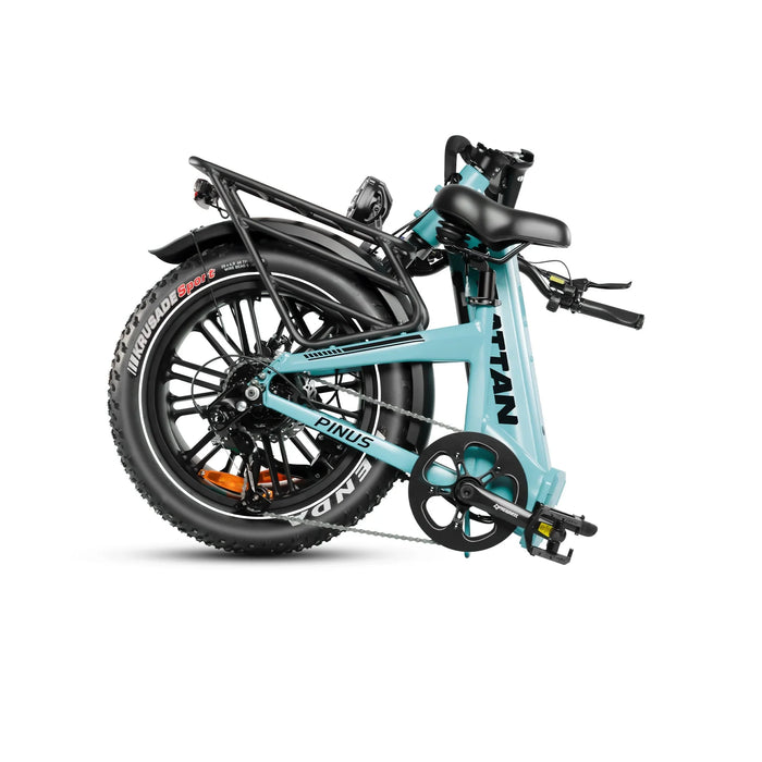 Rattan Pinus Fat Tire Electric Bike — 750W Motor, Torque Sensor, 48V 20Ah Samsung Battery