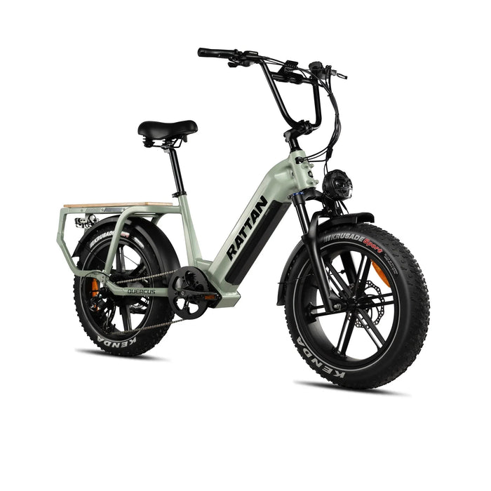 Rattan Electric Bikes Rattan Quercus