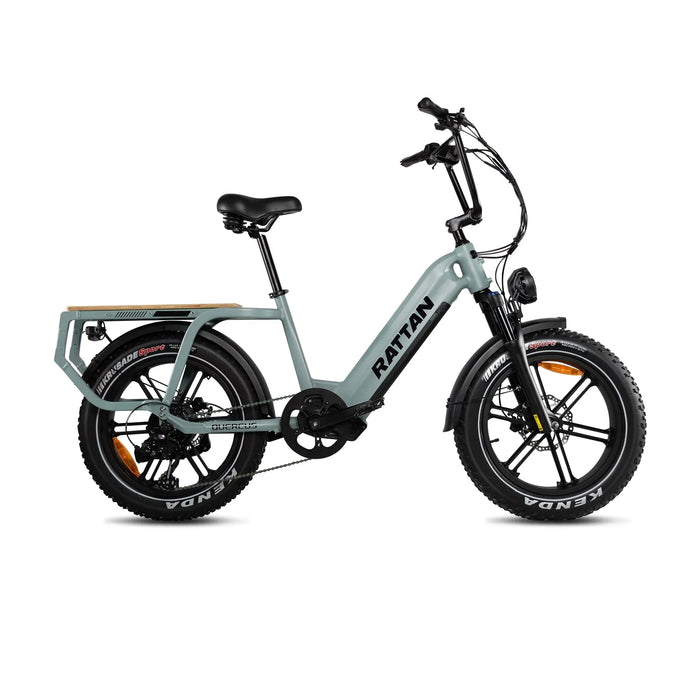 Rattan Quercus Fat Tire Electric Bike — 750W Motor, 80Nm Torque Sensor, 48V 20Ah Battery, 450 lb Payload