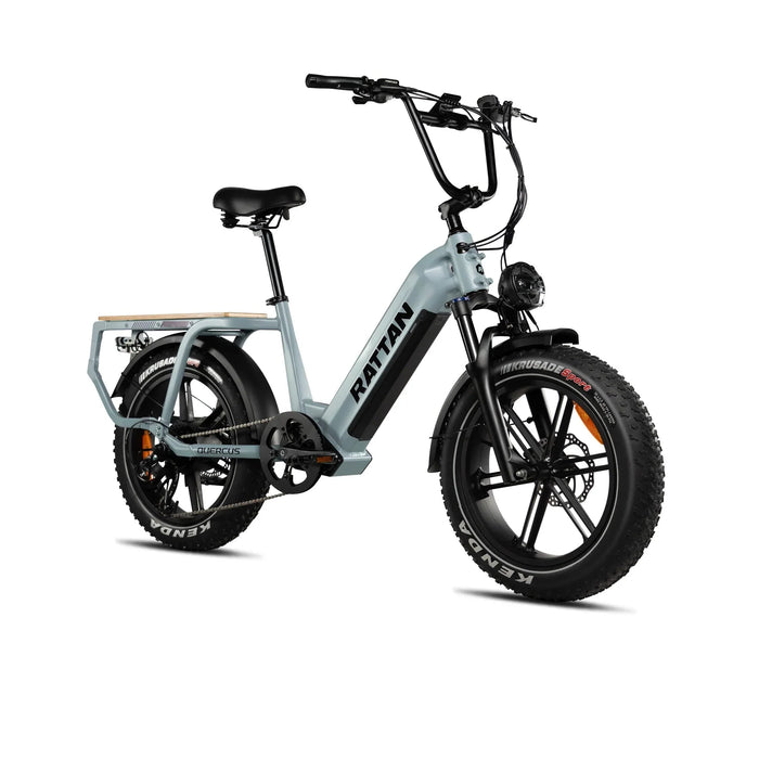 Rattan Quercus Fat Tire Electric Bike — 750W Motor, 80Nm Torque Sensor, 48V 20Ah Battery, 450 lb Payload