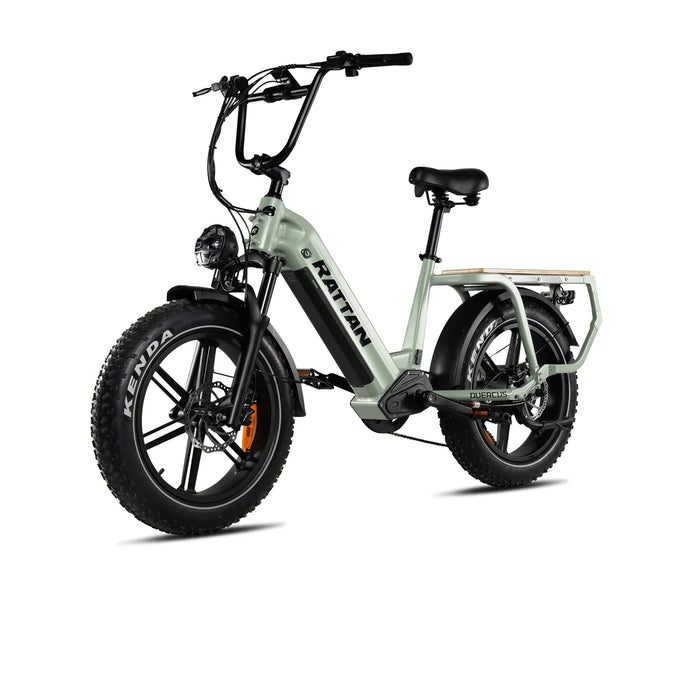 Rattan Quercus Fat Tire Electric Bike — 750W Motor, 80Nm Torque Sensor, 48V 20Ah Battery, 450 lb Payload