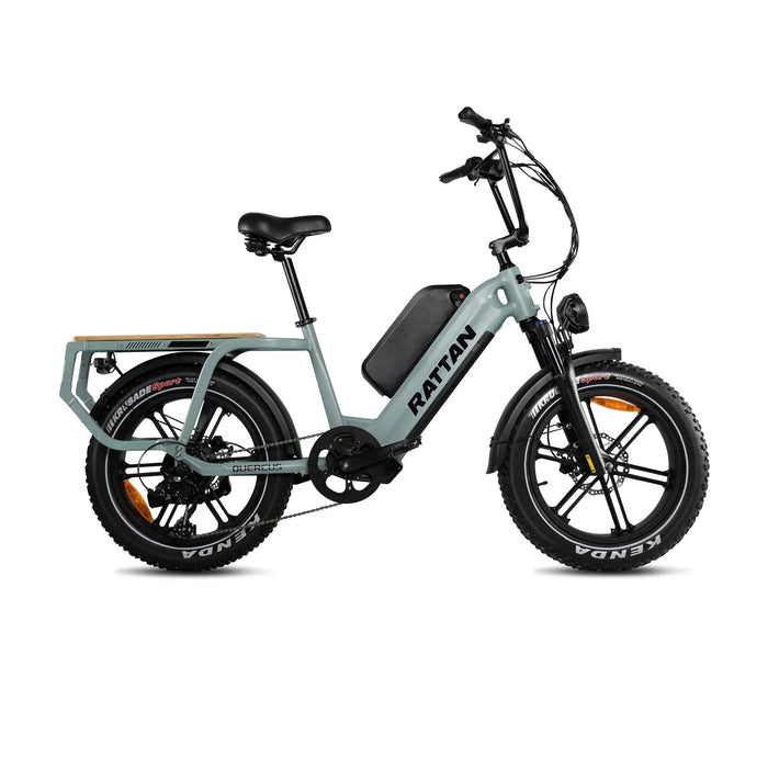 Rattan Quercus Fat Tire Electric Bike — 750W Motor, 80Nm Torque Sensor, 48V 20Ah Battery, 450 lb Payload