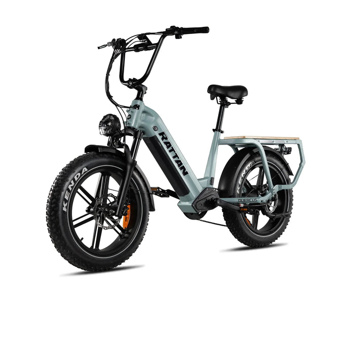 Rattan Quercus Fat Tire Electric Bike — 750W Motor, 80Nm Torque Sensor, 48V 20Ah Battery, 450 lb Payload