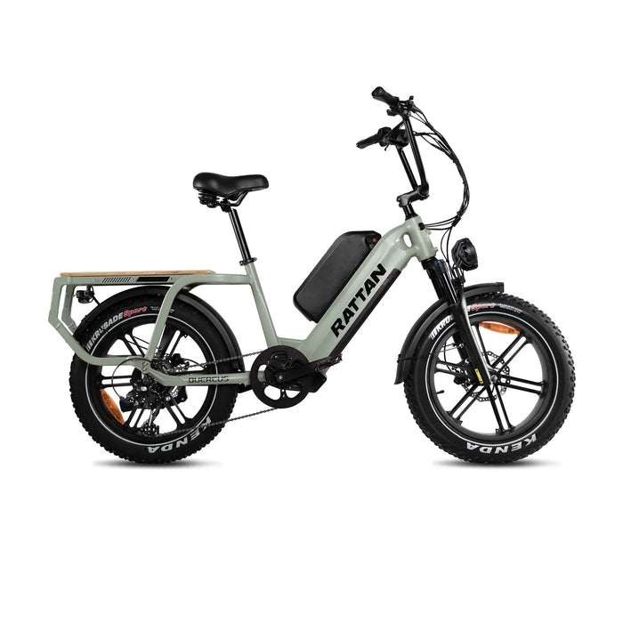 Rattan Quercus Fat Tire Electric Bike — 750W Motor, 80Nm Torque Sensor, 48V 20Ah Battery, 450 lb Payload