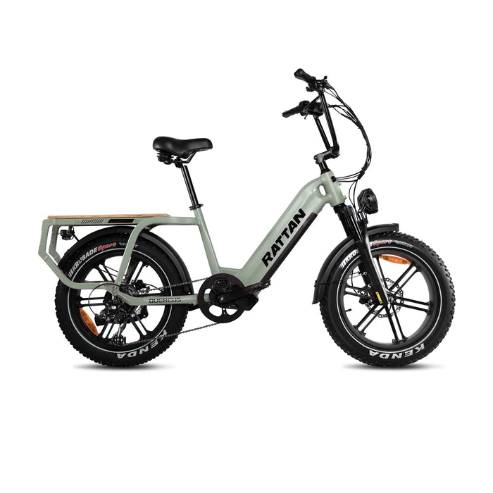 Rattan Electric Bikes Rattan Quercus