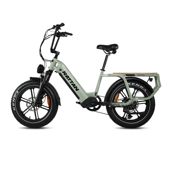 Rattan Quercus Fat Tire Electric Bike — 750W Motor, 80Nm Torque Sensor, 48V 20Ah Battery, 450 lb Payload