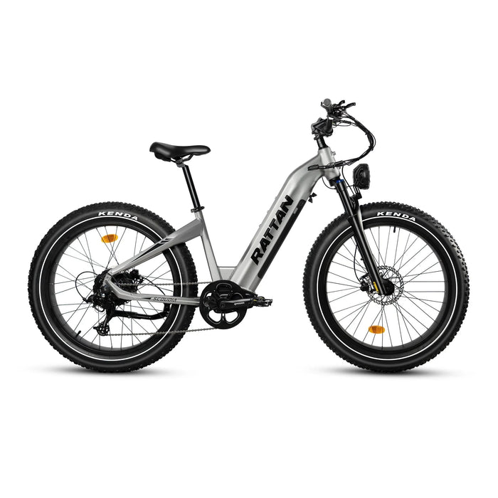 Rattan Sequoia 26-Inch Fat Tire Electric Bike — 750W Motor, Torque Sensor, 48V 20Ah Samsung Battery, Step-Through Frame