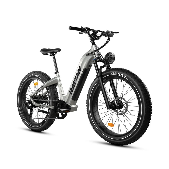 Rattan Sequoia 26-Inch Fat Tire Electric Bike — 750W Motor, Torque Sensor, 48V 20Ah Samsung Battery, Step-Through Frame